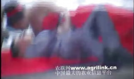 男女接吻视频,男女接吻视频背后的情感火花